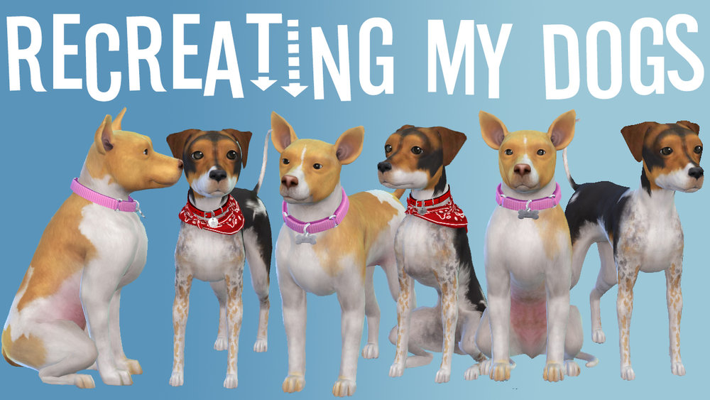 The Sims 4: Recreating my Dogs