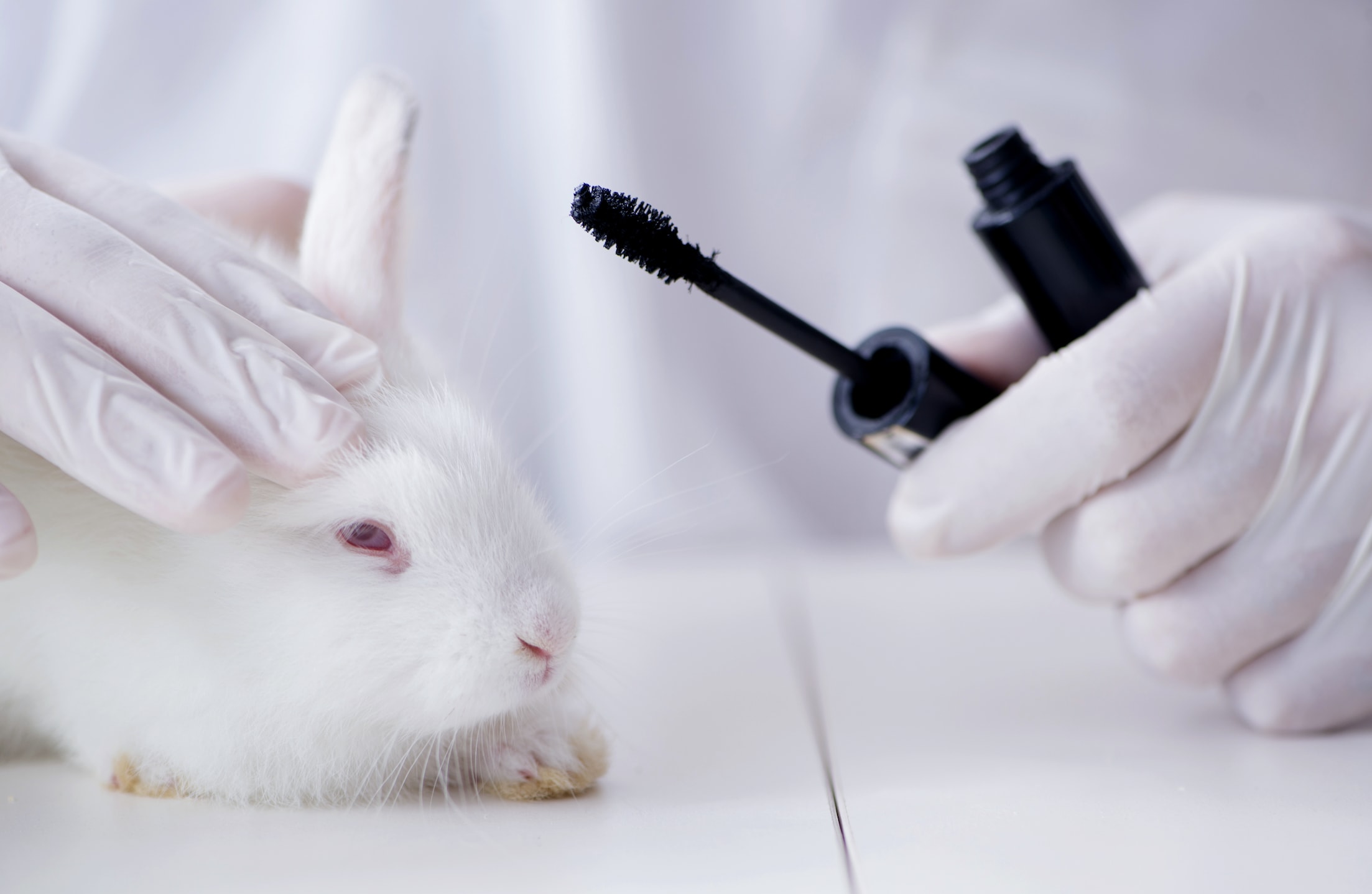 animal testing.jpg