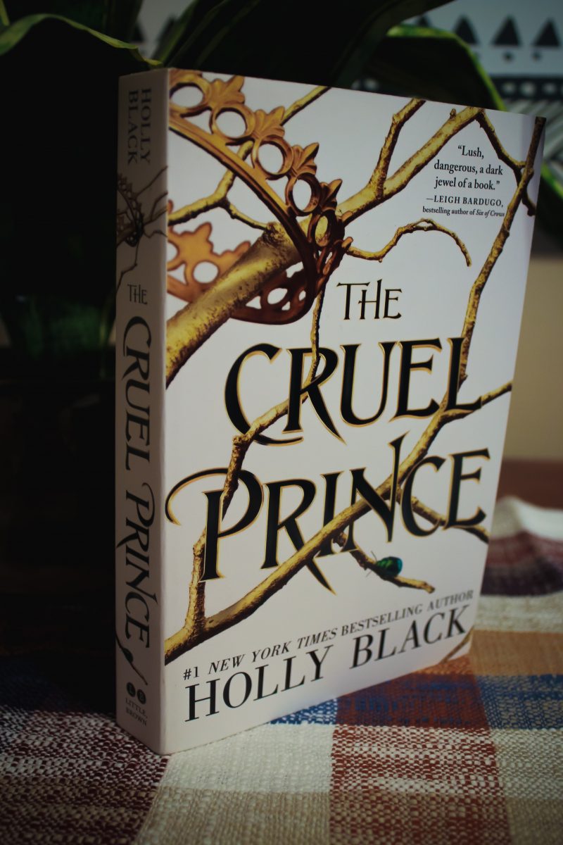 My Thoughts on The Cruel Prince by Holly Black