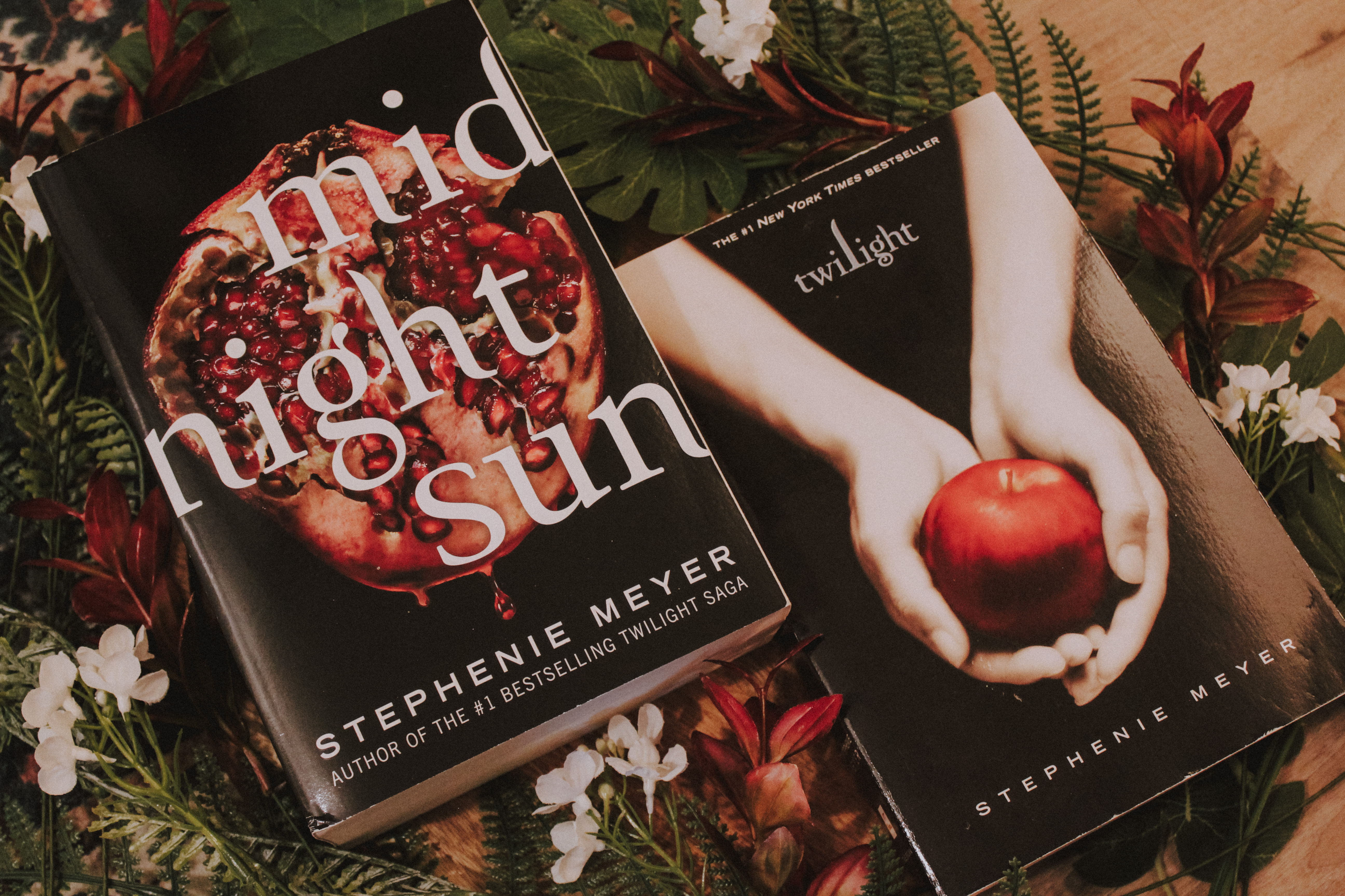 Tandem Reading Guide of Twilight and Midnight Sun by Stephenie Meyer